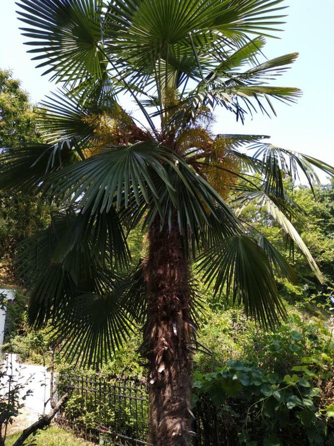 Villa Eleni Agnanti Ano Stavros Buitenkant foto
